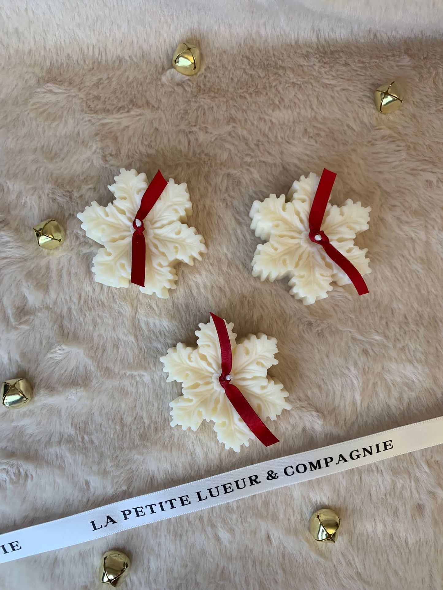 | FLOCON DE NOËL |